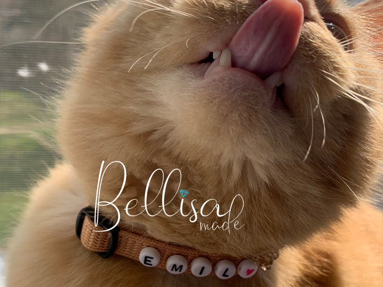 Bellisamadee