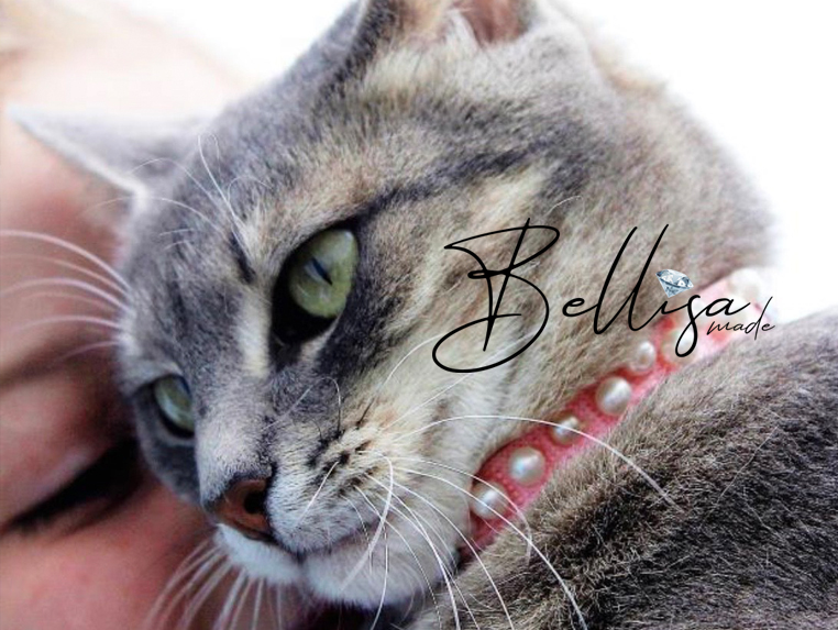 Bellisamadee